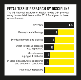 Illustration for article titled How fetal tissue is used for biomedical research